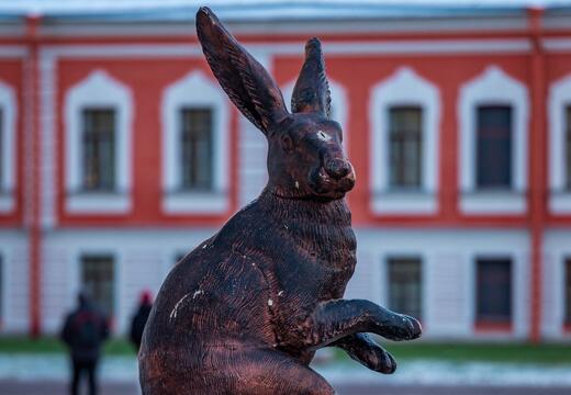 Фото программы тура