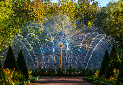 Фото программы тура