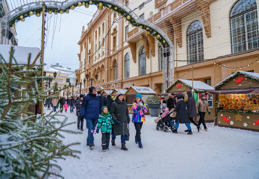 Фото программы тура