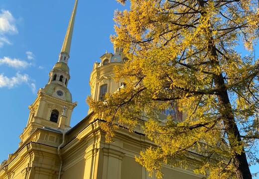 Фото программы тура